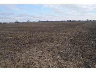 Property photo 24 - 173 +/- Acres Offered in 3 Tracts - Ohio Farmland